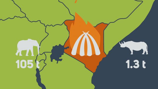 go to Gegen Wilderei: Kenia verbrennt tonnenweise Elfenbein